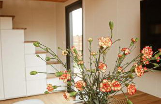 Black & White Cekcyn Bory Tucholskie - Foto 6