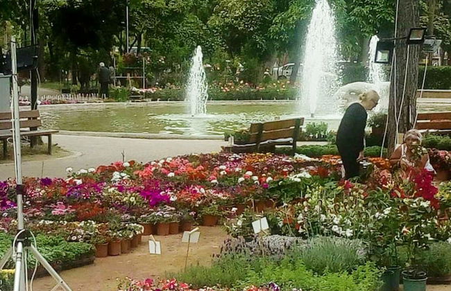 Santa Barbara s Cute Apartment - Foto 5