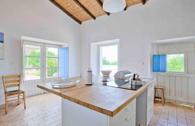 Morgado do Quintao - Foto 30