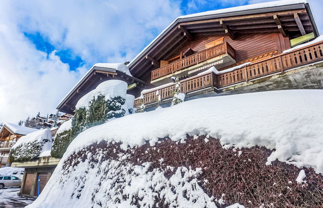 Licorne 13 - Foto 27