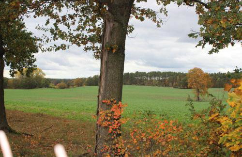 Gospodarstwo Agroturystyczne Agroletnica - Foto 109