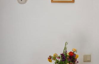 Peixe Agulha - Foto 3