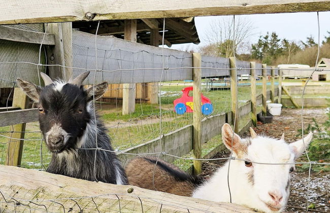 Spacious Holiday Home In Struer near Ocean - Foto 23