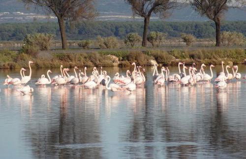 Maison de plage - Foto 30