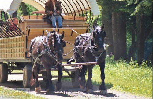 Rv Site 50amp Back-in up to 34Ft - Foto 4