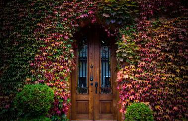 Miły Młyn - Foto 1