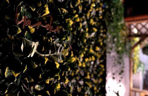 Gorgeous Graceful Getaway w Gazebo - Tylorstown - Foto 29