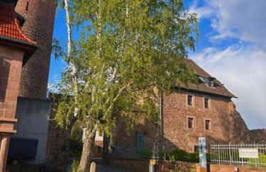 Historische Stadtwohnung - Foto 11