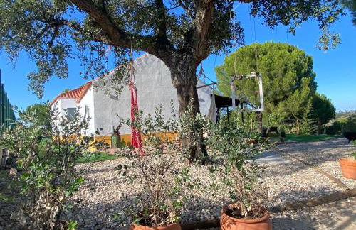 Monte da Marouca-Mont’Argil - Foto 35