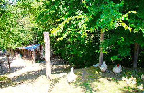 Agriturismo Biologico Villa Rosa - Photo 16