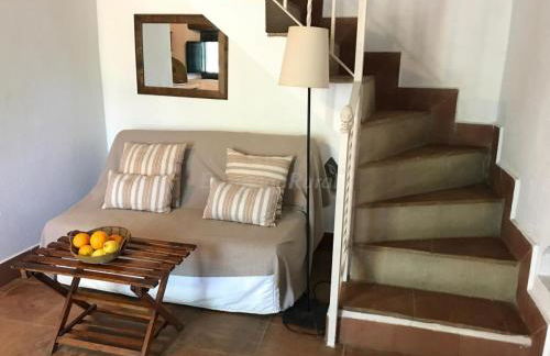 Finca La Vicaria PALOMAR - Foto 2