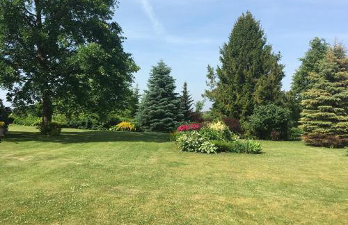 Haus Masur - Photo 34