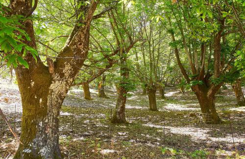 Authentic Cottage in a heaven of natural Beauty - Foto 44