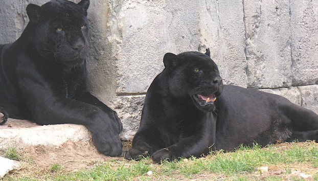 Terra Natura Benidorm - Special Winter Offer !! - Photo 2