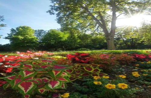 Apartment in Armsfeld With Pool - Foto 53