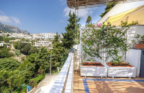 Oliveto Capri apartments - Foto 130