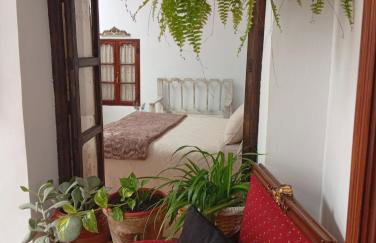 Casa Rural en San Carlos del Valle- Doña Gumersinda - Foto 65