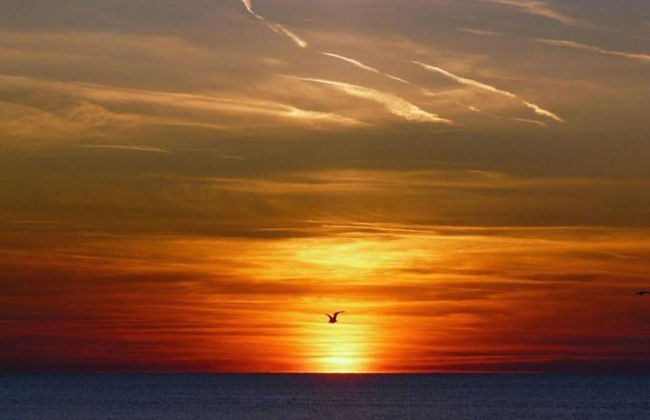 Chic Beachside Stay w/ Sauna - Foto 36