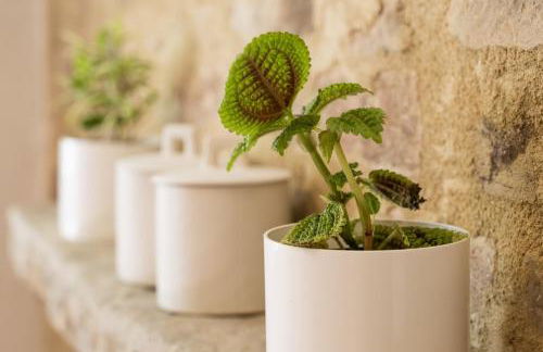 Rocha Suites - Foto 35