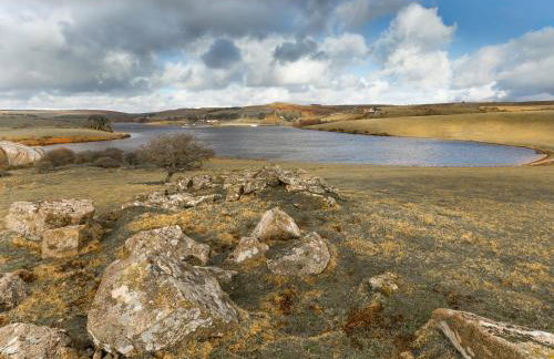 Trekeive Cottage - Photo 10