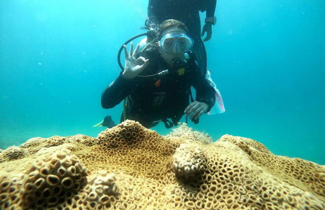 Bautismo de buceo en Paraty - Foto 2