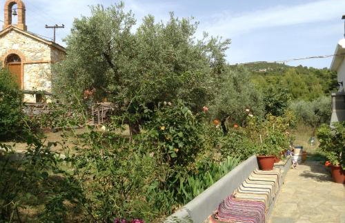 Armonia Guesthouse - Foto 47