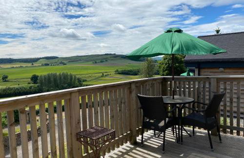 Badger Lodge with Hot Tub - Foto 10