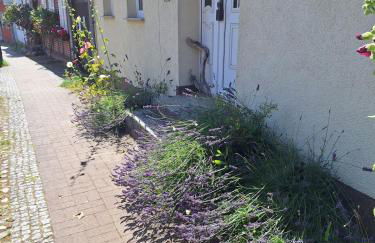 Große Ferienwohnung in Flecken Zechlin - Photo 51