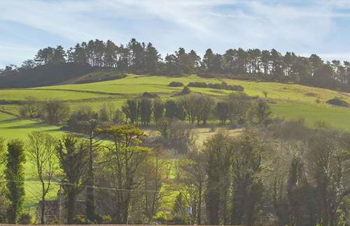 Buckland Lodge - Photo 24