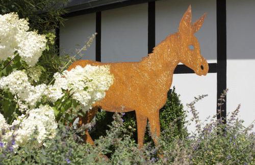 Michels Mühle - wieder Land sehen - Foto 41