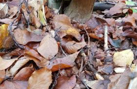 Domek w polu - Foto 53