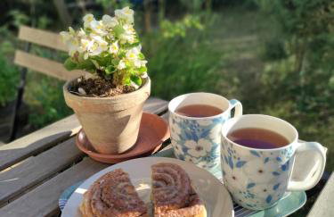 Widny Jaś zaprasza z psem nad jezioro na Kaszubach - Foto 7