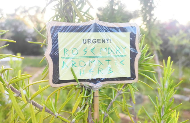 TETRAKTYS estate - Foto 21