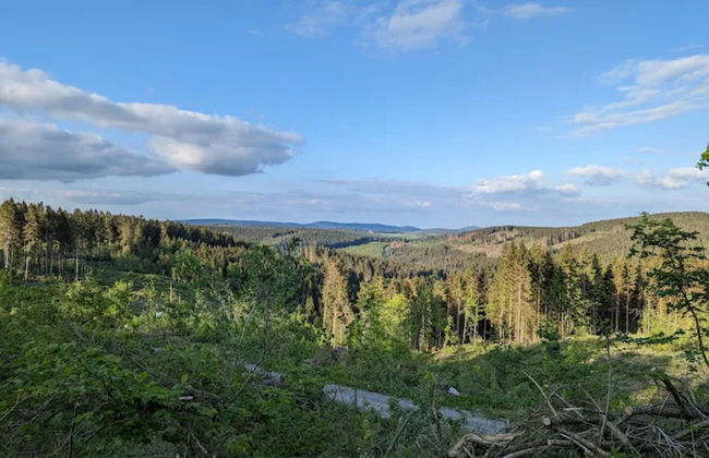 Gemutliches Apartment in Winterberg mit Balkon - Foto 41