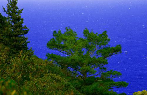 House in Εndless green - Arethousa, Ikaria - Photo 60