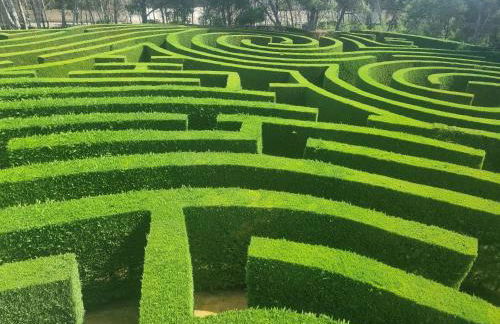 Apartament Carina - Foto 54