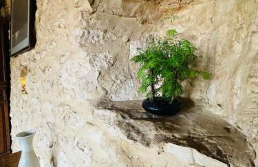 mas du Clap - Photo 11