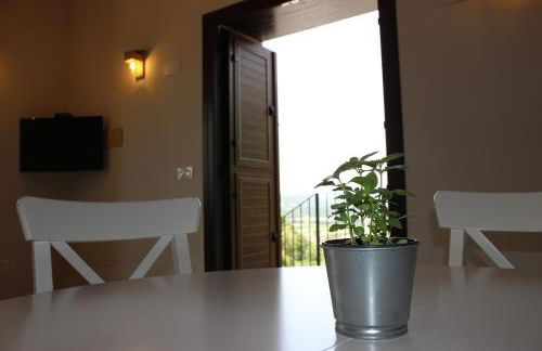 Apartamentos Samitier Casa Cambra - Foto 18