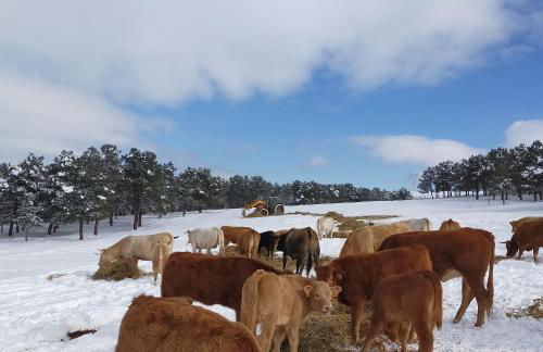 El rincón del molino - Foto 9