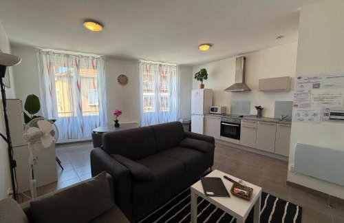 Appart'Hôtel Lagnieu - Foto 40