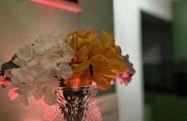 Beautiful Grade 2 Home in centre of Newcastle-St James Park FREE CITY PARKING - Foto 24