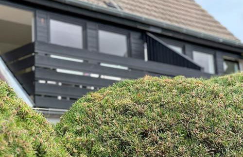 Ferienwohnung Herzmuschel Tinnum - Foto 44