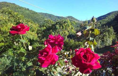 Agriturismo Cà Sonino - Photo 16