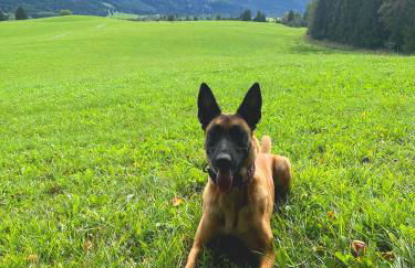 PeThe`s No 1 - Foto 39