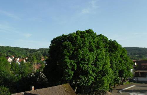 Karin's behagliche Ferienwohnung - Foto 12