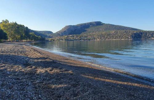 Villa Aliki - Photo 52