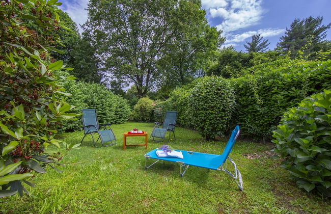 Rododendro Rosso in Ispra - Foto 9