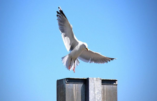 Bungalow Klonsnack, Dornumersiel - Foto 12