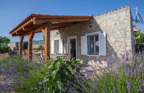 Krcina Holiday Home - Photo 26