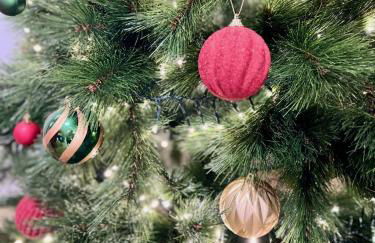 Belle Vue Malaga Suite - Foto 20